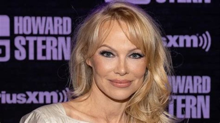 Pamela Anderson Fortune